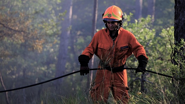 California Consulting Releases Latest Fire & Emergency Services Grants